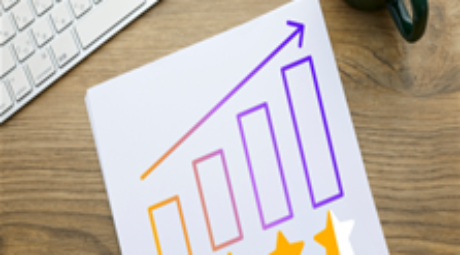 volwassenheidsmodellen