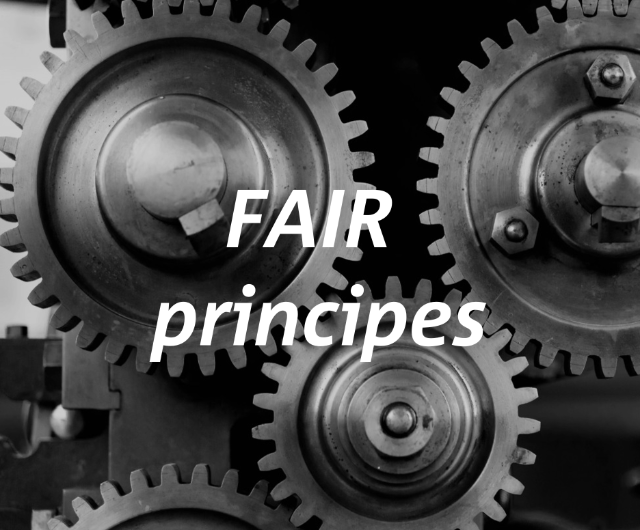 fair principes